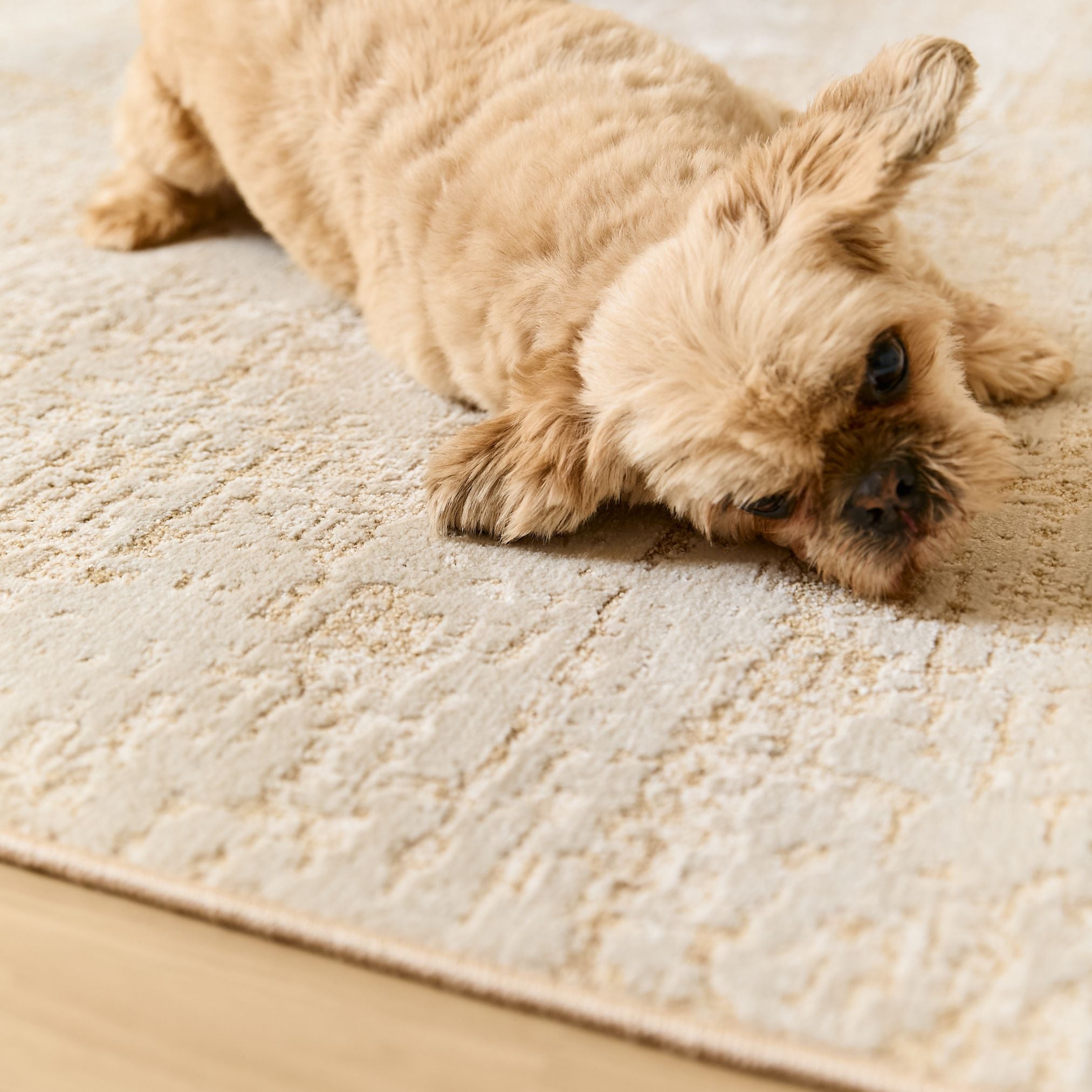 TAPETE MERINO MODELO ME002